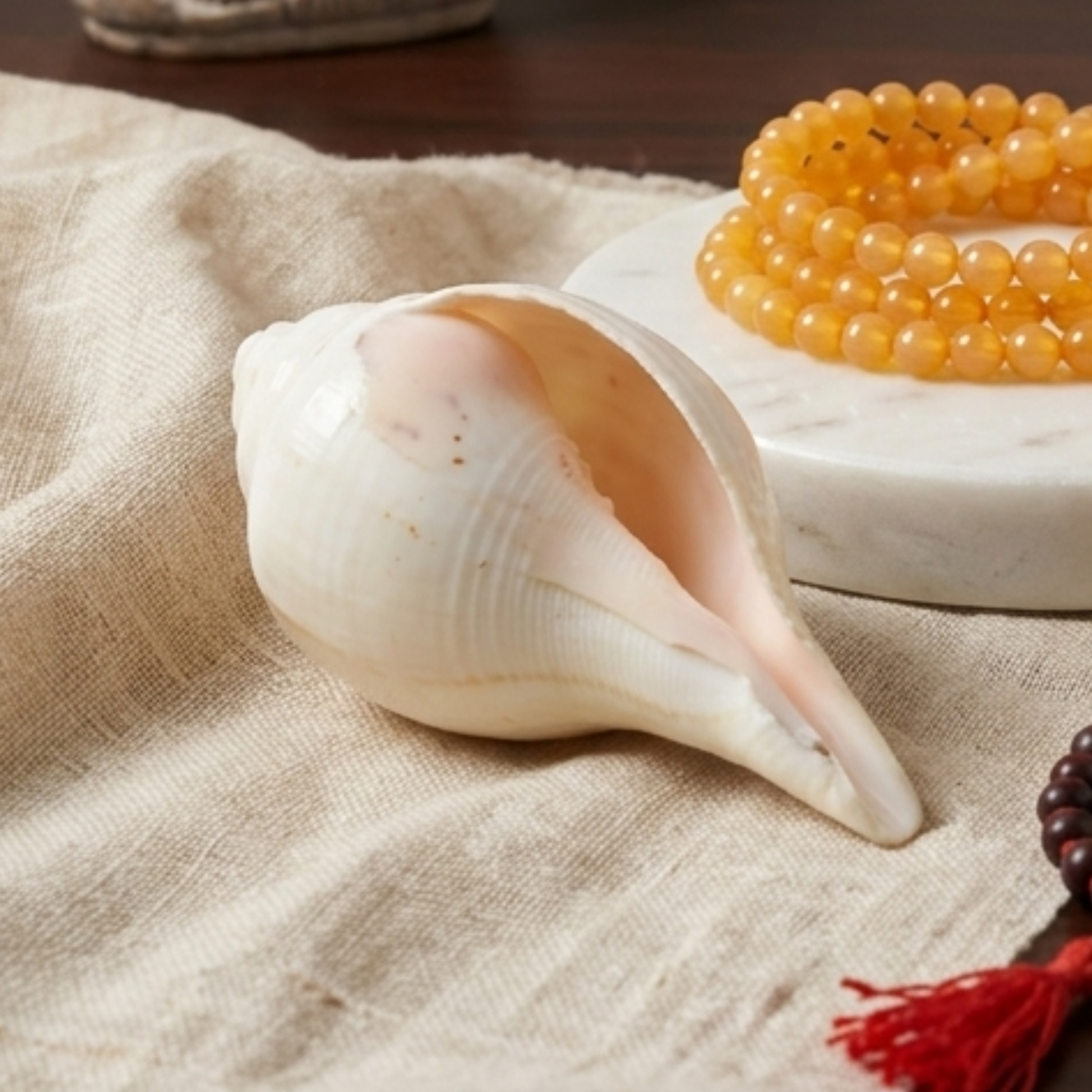 Shankh