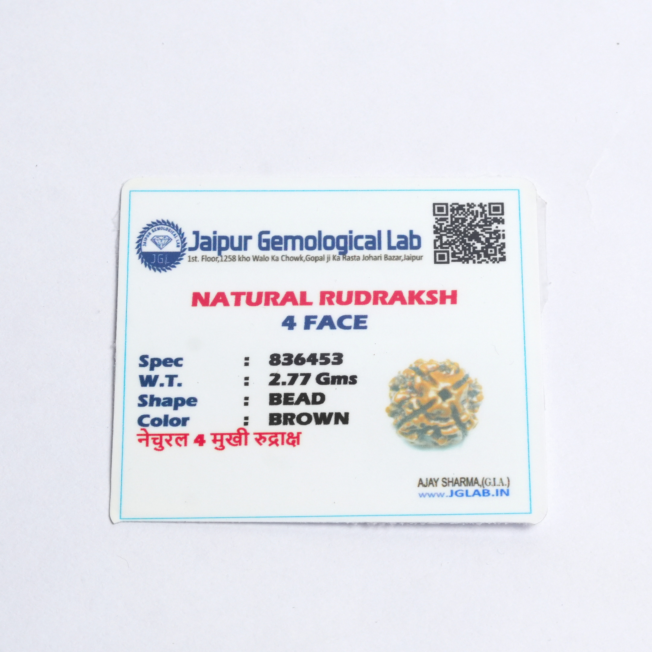 Original 4 Mukhi Rudraksh