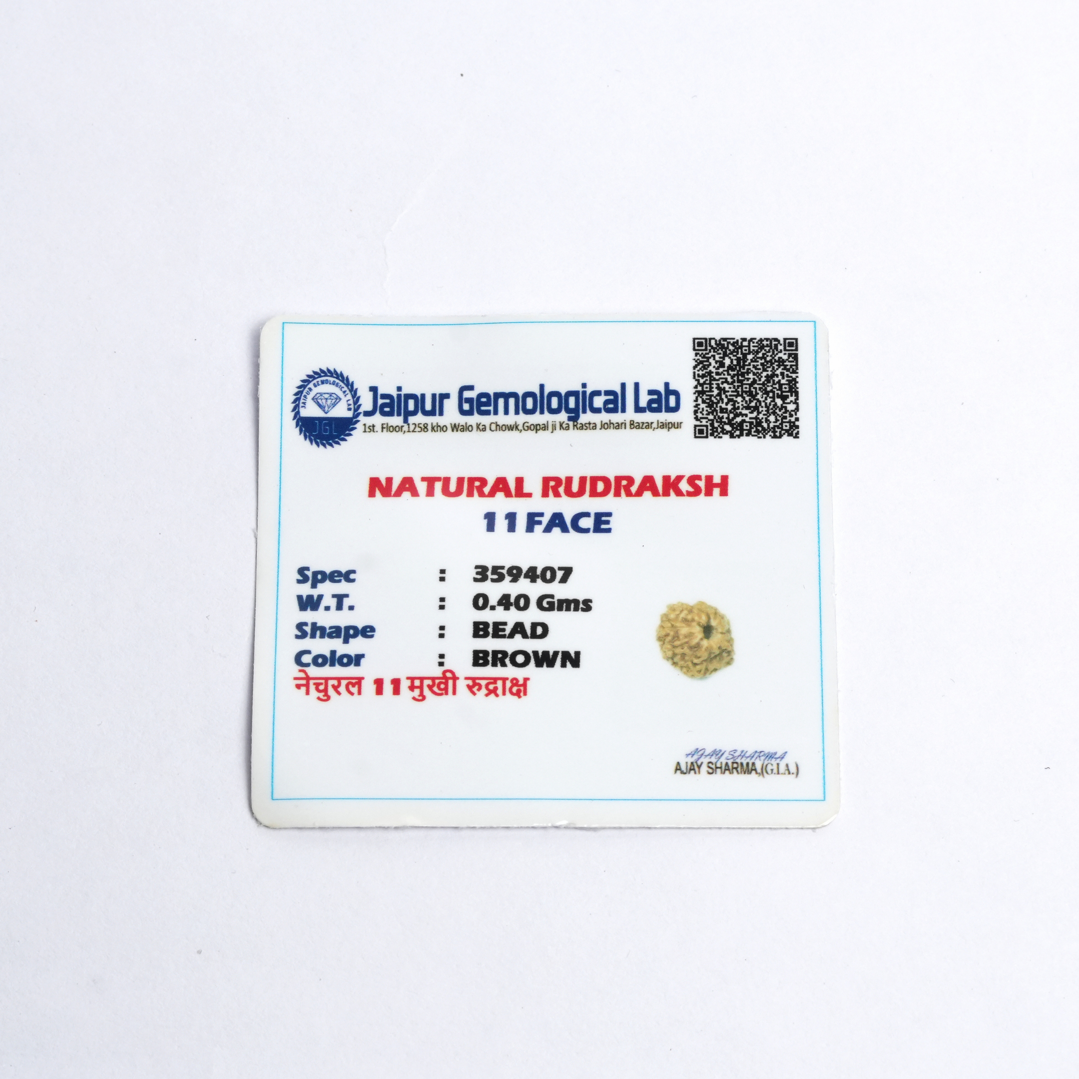 Original 11 Mukhi Rudraksh