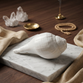 Vishnu Shankh Small
