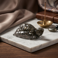 Pyrite Tortoise