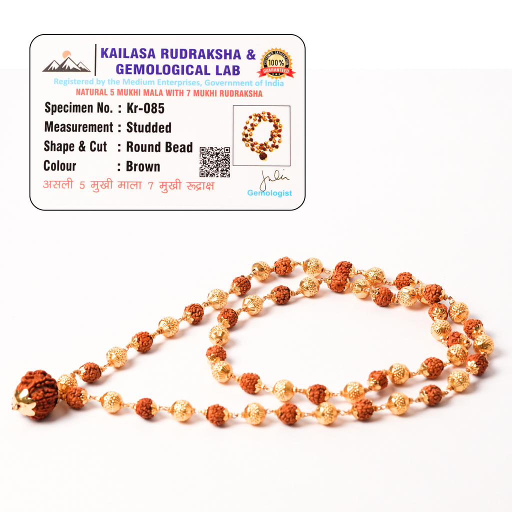 5 Mukhi Rudraksh Mala with 7 Mukhi Rudraksh