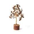 Tiger Eye Tree