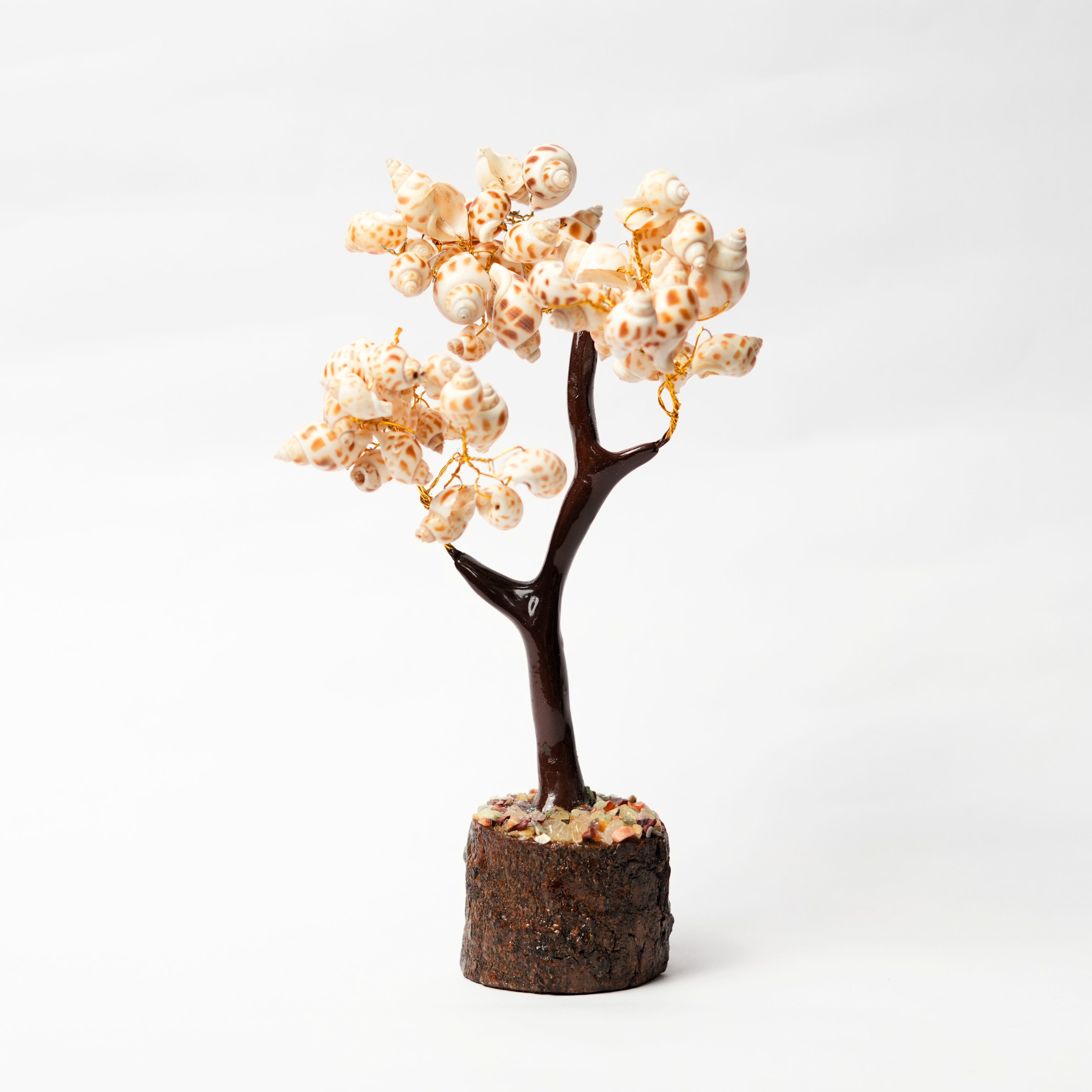 Shankh Tree